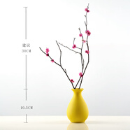 美學(xué)黑客 干花花束莫蘭迪花瓶北歐干花裝飾桌子擺件清新插花臥室森系干花 梅花含瓶