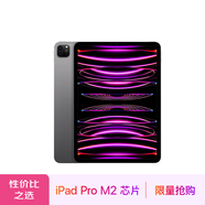Apple/蘋(píng)果 iPad Pro 11英寸平板電腦 2022年款(512G WLAN版/M2芯片/學(xué)習(xí)辦公娛樂(lè)/MNXH3CH/A)深空灰色