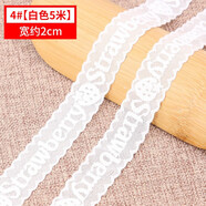 緯度黑色白色蕾絲花邊彈力裙子女衣服下擺裝飾網(wǎng)紗鏤空帶DIY輔料布料 4#白色【5米】寬2cm