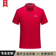 印爹利 工裝工作服定制企業(yè)T恤定做短袖翻領(lǐng)工衣訂做文化衫印logo刺繡 大紅 S