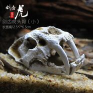 異景園仿真恐龍骷顱頭骨躲避屋樹脂假山水草造景頭骨魚缸水族箱裝飾假山石造景套餐魚缸擺件 PC076-C劍齒虎(小)