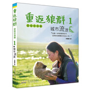 重返狼群彩繪注音版（套裝共3冊）城市流浪荒野求生回歸家園 適合低年級閱讀1-3年級 一人一狼關(guān)于愛 重返狼群 1城市流浪（彩繪注音版）