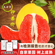 皇金蜜福建建平和管溪紅心柚子【多地次日達(dá)】當(dāng)季新鮮孕婦生鮮水果中秋 3斤試吃嘗鮮（凈重2.5-3斤）