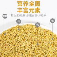 再再新黃谷子中小型鸚鵡飼料鳥(niǎo)糧食帶殼小米虎皮玄鳳牡丹食物糧食鳥(niǎo)糧 1500g優(yōu)質(zhì)黃谷子