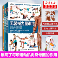 3冊(cè)套 拉伸訓(xùn)練彩色圖譜+肌肉力量訓(xùn)練彩色圖譜+無(wú)器械力量訓(xùn)練彩色圖譜 運(yùn)動(dòng)健身健美訓(xùn)練書健身書籍 正版正貨 新華書店
