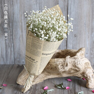 愛(ài)滿(mǎn)（AIMAN） 鮮花真花天然滿(mǎn)天星花束真花客廳家居裝飾店面擺設小清新風(fēng)花束 白色滿(mǎn)天星 含報紙+絲帶
