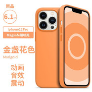 諾邦士 適用蘋(píng)果13手機殼動(dòng)畫(huà)磁吸iphone13液態(tài)硅膠防摔手機保護套網(wǎng)紅純色高級品牌13promax手機殼強力 蘋(píng)果13Pro【金盞花色】帶標磁吸動(dòng)畫(huà)液態(tài)硅膠 iphone 其他型號