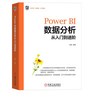 Power BI數(shù)據(jù)分析從入門到進階 商務(wù)智能 數(shù)據(jù)分析 數(shù)據(jù)可視化