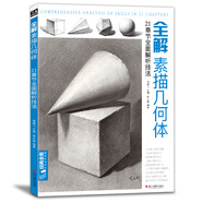 經(jīng)典全集《全解素描幾何體》8開石膏幾何體結(jié)構(gòu)靜物臨摹范本書籍初級入門4k零基礎(chǔ)教材楊建飛主編