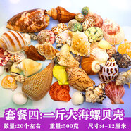 曦凰天然貝殼海螺殼海星珊瑚石兒童玩具裝飾擺件DIY卷貝魚寄居蟹 套餐四:斤大海螺貝殼