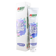 兩面針（LMZ） 養(yǎng)齦固齒牙膏-溫潤(rùn)薄荷香型140g 效期至2026年10月 1支