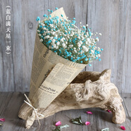 愛滿（AIMAN） 鮮花真花天然滿天星花束真花客廳家居裝飾店面擺設小清新風花束 藍白滿天星 含報紙+絲帶