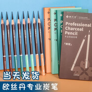 歐絲丹炭筆素描繪畫美術(shù)生繪畫碳畫鉛筆速寫鉛筆14B集訓(xùn)聯(lián)考練習(xí)專用 啞光14B-12支/盒