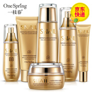 黃金蝸牛中年媽媽護(hù)膚品黃金蝸牛原液護(hù)膚品套裝女植物補(bǔ)水純保濕洗面奶化妝品抗皺緊致收縮毛孔眼霜水乳套裝 黃金蝸牛bb六件套