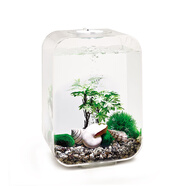 biOrb英國藝術(shù)水景透明生態(tài)魚缸小型迷你辦公室桌面客廳創(chuàng)意懶人金魚缸  樂活15L遙控MCR燈全透明魚缸+缸內(nèi)造景