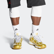 阿迪達斯（adidas）春新男鞋 D Rose羅斯9代10代籃球鞋高幫款實戰(zhàn)高幫戰(zhàn)靴 FW9487 41