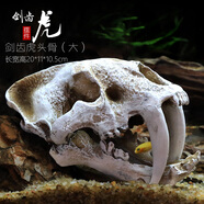 異景園仿真恐龍骷顱頭骨躲避屋樹(shù)脂假山水草造景頭骨魚(yú)缸水族箱裝飾假山石造景套餐魚(yú)缸擺件 PC076-B劍齒虎(大)