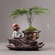 兆族家里裝飾擺件 酒柜擺件 裝飾品創(chuàng)意個性文竹盆景綠植盆栽紫砂花盆植物透氣復(fù)古陶瓷盆器托盤家用W 初心＞創(chuàng)意家居電視柜裝飾品擺件新中式擺件工藝品 中等＞藝術(shù)品擺件客廳電視柜裝飾品擺件創(chuàng)意家居