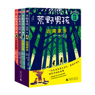 荒野男孩探險小說系列（套裝全4冊）（神秘島）