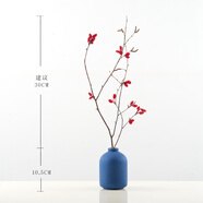 美學(xué)黑客 干花花束莫蘭迪花瓶北歐干花裝飾桌子擺件清新插花臥室森系干花 山捻枝含瓶