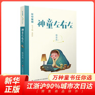 神童左右左 年華璀璨系列 兒童文學叢書 江蘇作家協(xié)會創(chuàng)作項目 小學生三四五六年級課外閱讀 書籍