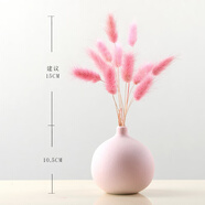 美學(xué)黑客 干花花束莫蘭迪花瓶北歐干花裝飾桌子擺件清新插花臥室森系干花 兔尾草含瓶
