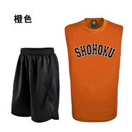 ITPLANNING男女籃球服套裝球衣訓(xùn)練服隊(duì)服印號(hào)印字定制 橘色  S套裝 (155-165)