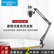 帕比度（PABIDU） 電容麥克風(fēng)支架桌面懸臂支架直播無線話筒支架防震架臺式升降架子 標(biāo)配（含話筒夾）