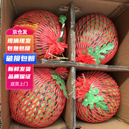 京營覓選麒麟西瓜 現(xiàn)摘新鮮美都西瓜【JD順豐-送貨上門】頭茬冰糖西瓜 4個裝【總重20-24斤】防摔包裝