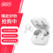 QCY T13 真無(wú)線藍(lán)牙耳機(jī) 運(yùn)動(dòng)耳麥 主從切換4麥通話降噪 耳機(jī)快充 全手機(jī)通用 白色