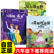 【全3冊】愛麗絲漫游奇境記+湯姆索亞歷險記+尼爾斯騎鵝旅行記 小學(xué)六年級下必讀課外閱讀書籍