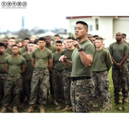美軍短袖純棉軍事體能訓(xùn)練服男OG色混紡T恤八一戰(zhàn)友聚會(huì)t恤定制軍訓(xùn)用品 軍綠色【100%25純棉】 XL 120-130斤