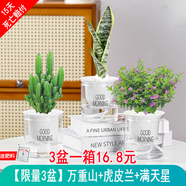 綠有意綠植盆栽多肉花卉盆栽植物室內(nèi)桌面水培綠植辦公室客廳植物懶人 限量3盆】萬重山+虎皮蘭+滿天星