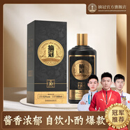 摘冠貴州摘冠金10醬香型白酒53度500ml純糧釀造商務(wù)送禮宴請(qǐng)高端 53度 500mL 1瓶 一瓶體驗(yàn)裝