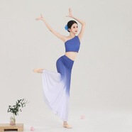 洛必達傣族舞蹈服裝女演出服練功舞裙長(cháng)裙孔雀舞藝考魚(yú)尾半身裙 霧霾藍漸變單肩全套 M