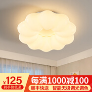 梵季（Fanji） 梵季網(wǎng)紅花朵臥室吸頂燈現(xiàn)代簡約主臥燈具溫馨浪漫男女孩兒童房 68W 20㎡內(nèi)適用 48000lm