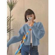 索菲堡 毛衣女春秋款2023新款復(fù)古日系慵懶風(fēng)外套女針織開衫百搭外套 藍(lán)色 均碼