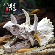 異景園仿真恐龍骷顱頭骨躲避屋樹脂假山水草造景頭骨魚缸水族箱裝飾假山石造景套餐魚缸擺件 XL563三角龍頭骨