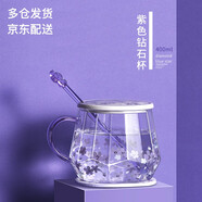 小北家藍(lán)星花杯子耐熱玻璃杯清新水杯咖啡杯少女紫色辦公室ins風(fēng)花茶杯 藍(lán)星花（含攪拌棒，蓋子，杯墊）