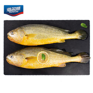 海名威 冷凍黃花魚700g/2條 寧德大黃魚地標(biāo) 海鮮水產(chǎn) 生鮮魚類 