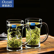 鷗欣進(jìn)口玻璃茶杯耐熱泡茶杯帶把家用待客水杯加厚大容量茶杯喝綠茶杯 能量把杯330ml【兩只】