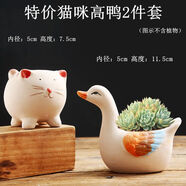 潤華年2023可愛(ài)動(dòng)物卡通多肉陶瓷肉肉植物花盆簡(jiǎn)約小盆批發(fā) 貓咪高鴨2件套