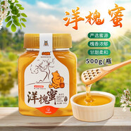 小矮熊洋槐蜜槐花香蜂蜜美味搭配讓生活多點甜蜜 洋槐蜜500g*1瓶