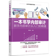 從新手到高手系列：一本書學(xué)內(nèi)部審計
