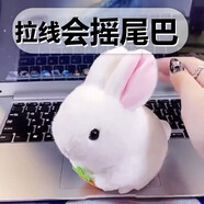 蝸牛卷會搖尾巴的兔子抖音甩尾巴倉鼠拉線玩偶網(wǎng)紅沙雕旋風(fēng)毛絨玩具拉繩 搖尾巴小兔子 均碼