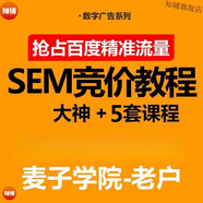 百度SEM競價(jià)精準互聯(lián)網(wǎng)絡(luò )SEO搜索推廣引流視頻課培訓教程 【單課】五套課程其一