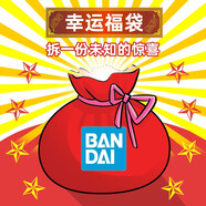 萬代（BANDAI） 幸運(yùn)福袋 高達(dá) 拼裝模型玩具 新手進(jìn)階福袋（RG/HG/SD/FG）