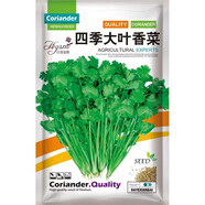 花語(yǔ)笙默四季播種蔬菜種子家庭種菜盆栽田園地栽菜種易種植易生長(cháng)瓜果菜籽 四季大葉香菜種子（約900粒） 原廠(chǎng)封裝1袋