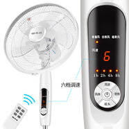 先鋒（SINGFUN）電風(fēng)扇落地扇5葉機(jī)械搖頭空氣扇五扇葉家用家電鳳扇立式大風(fēng)量電扇客廳宿舍落地電風(fēng)扇立扇 雙風(fēng)葉12葉遙控款 FS40-16ER