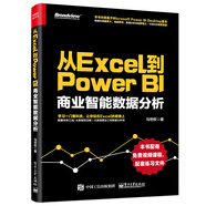 從Excel到Power BI：商業(yè)智能數(shù)據(jù)分析(博文視點(diǎn)出品)